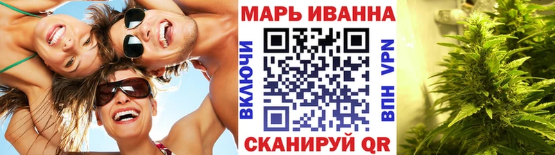 Канабис гибрид  Сокол 